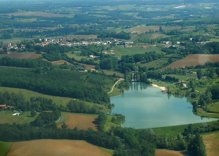 Mésange - Tg2187 Molières
